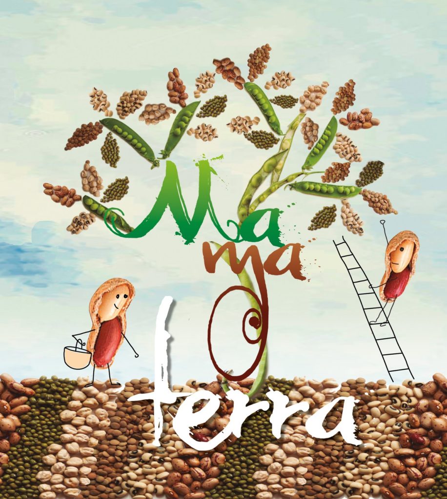 MamaTerra-Festival-Ecologico-Infantil